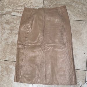 Calvin Klein Collection Nude Snakeskin Skirt